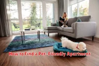 How to Find a Pet-Friendly Apartment